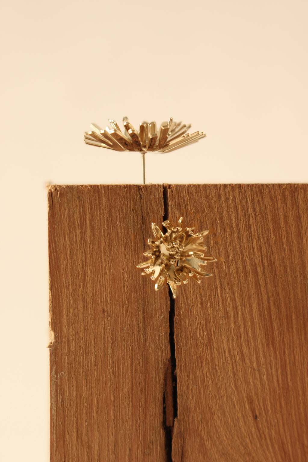 PISSENLITS - FLEURS - BO - EARRINGS