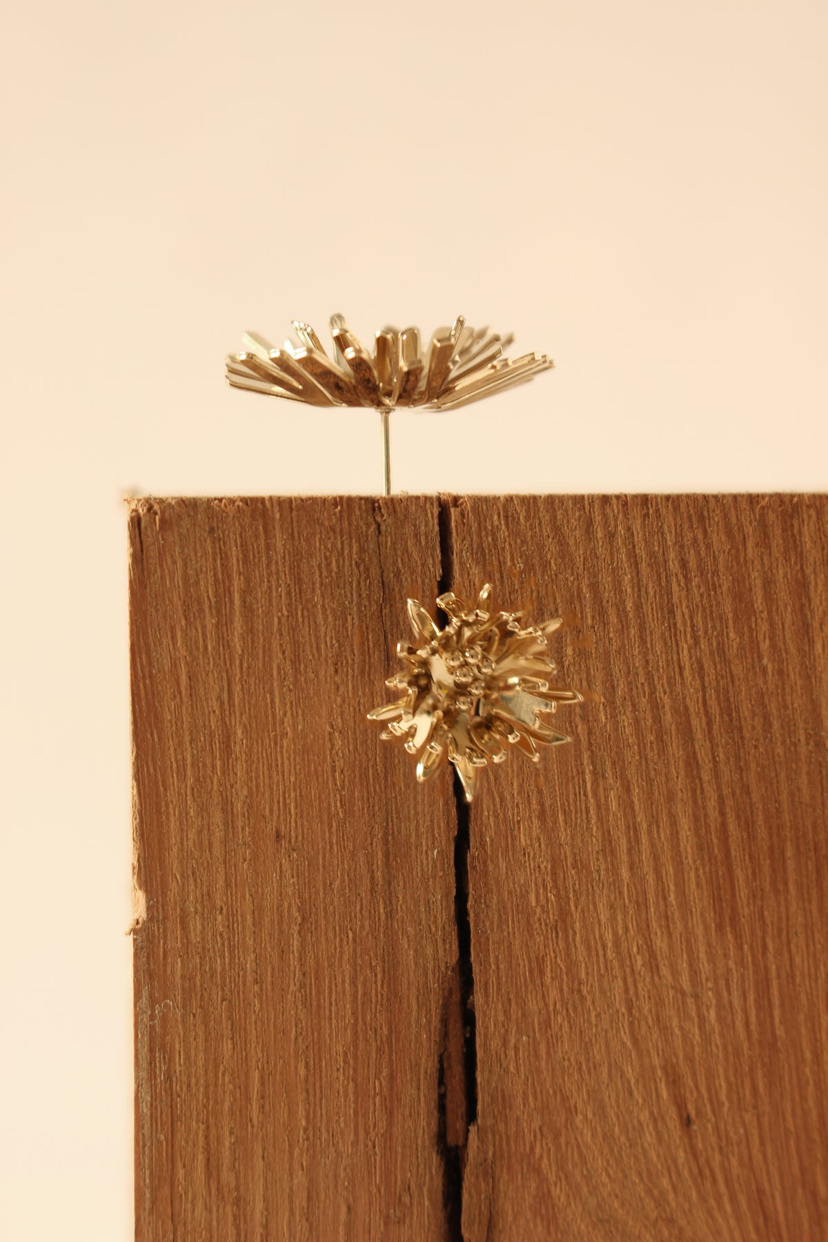 PISSENLITS - FLEURS - BO - EARRINGS