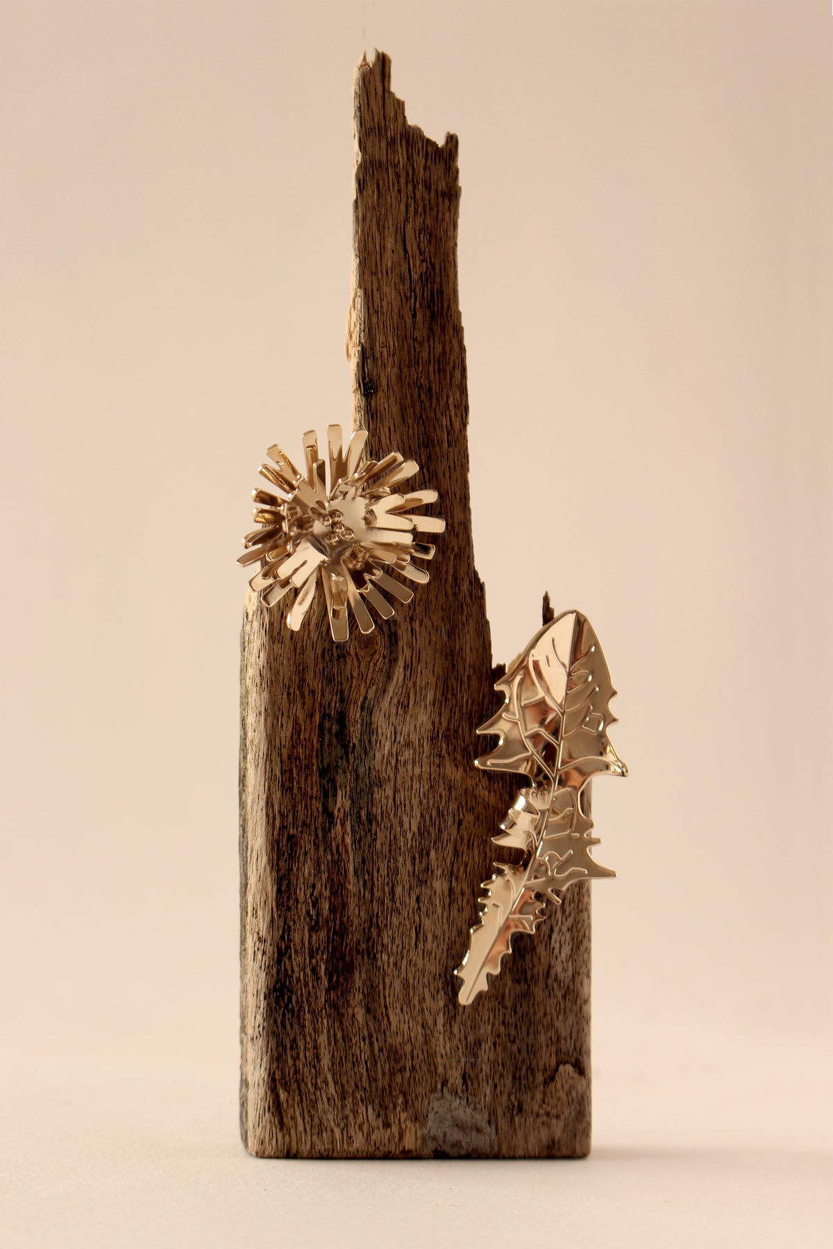 PISSENLITS - FEUILLES - BO - EARRINGS