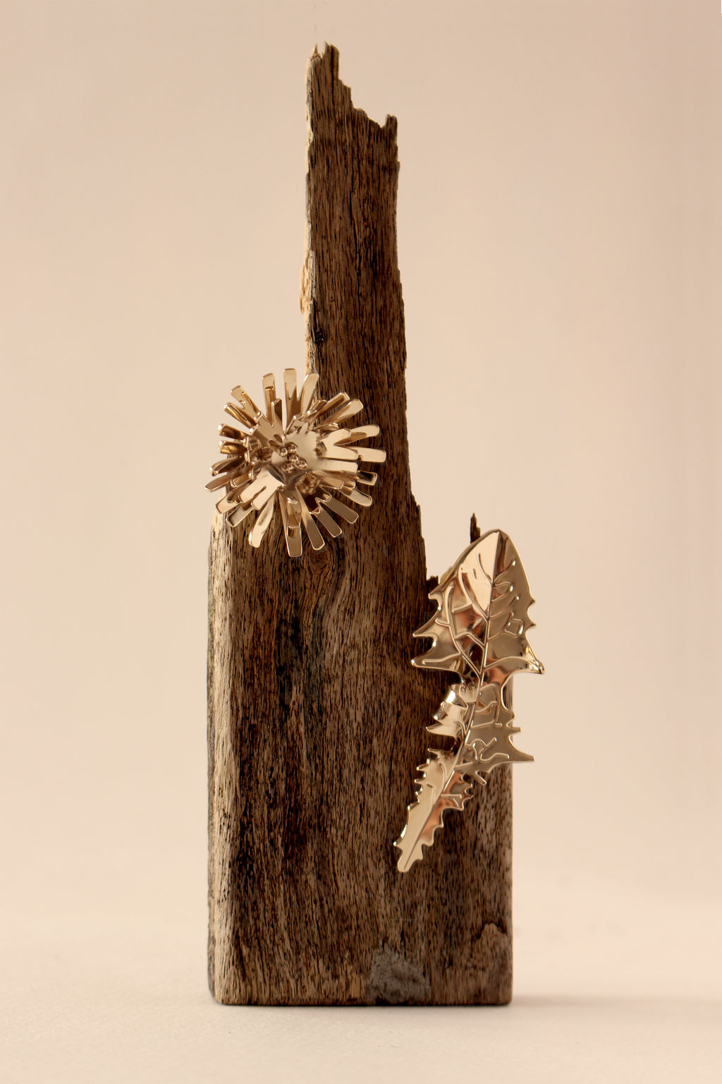 PISSENLITS - FLEURS - BO - EARRINGS